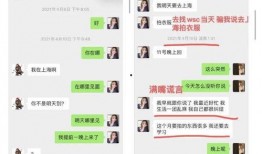 娱乐吃瓜酱棉袄猫窝,揭秘明星温馨家居生活