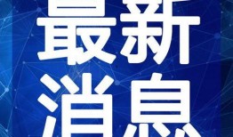 苗阜最新爆料师兄弟视频